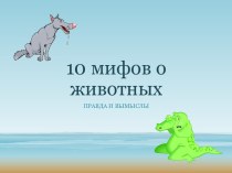 10 мифов о животных