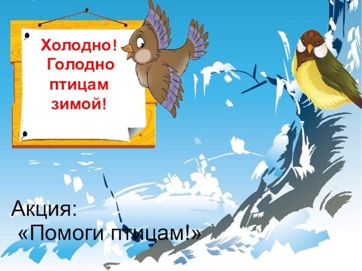 Холодно! Голодно птицам зимой!Акция: «Помоги птицам!»