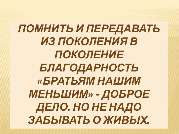 Помнить и передавать из поколения в поколение благодарность «братьям нашим меньшим» -