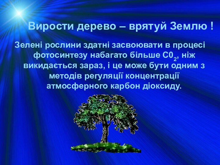 Вирости дерево – врятуй Землю !Зелені рослини здатні засвоювати в процесі фотосинтезу