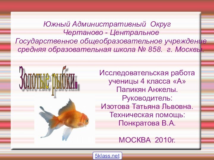 Южный Административный Округ Чертаново - Центральное Государственное общеобразовательное учреждение средняя образовательная школа