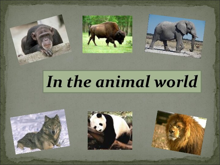 In the animal world