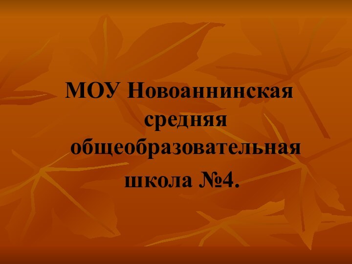 МОУ Новоаннинская средняя общеобразовательная школа №4.