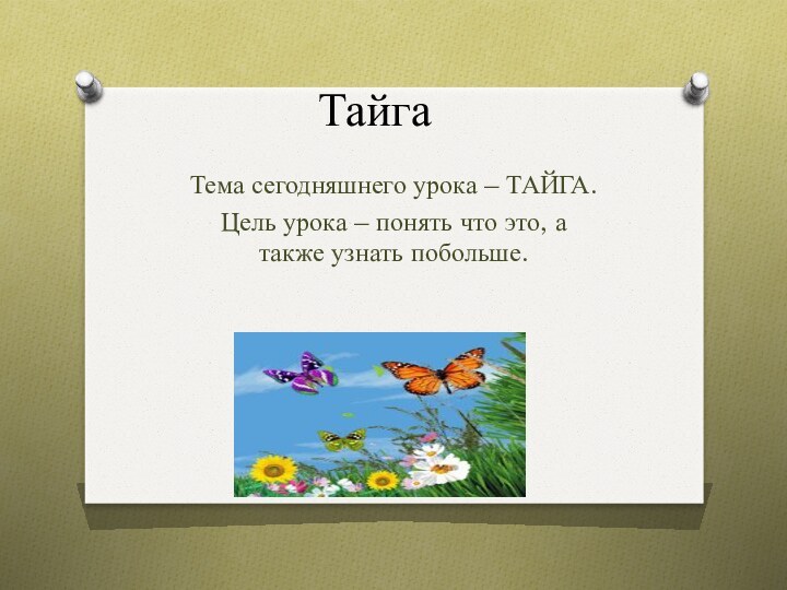 ТайгаТема сегодняшнего урока – ТАЙГА.Цель урока – понять что это, а также узнать побольше.