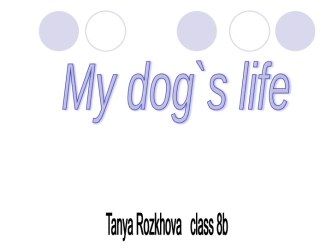 My dog`s life