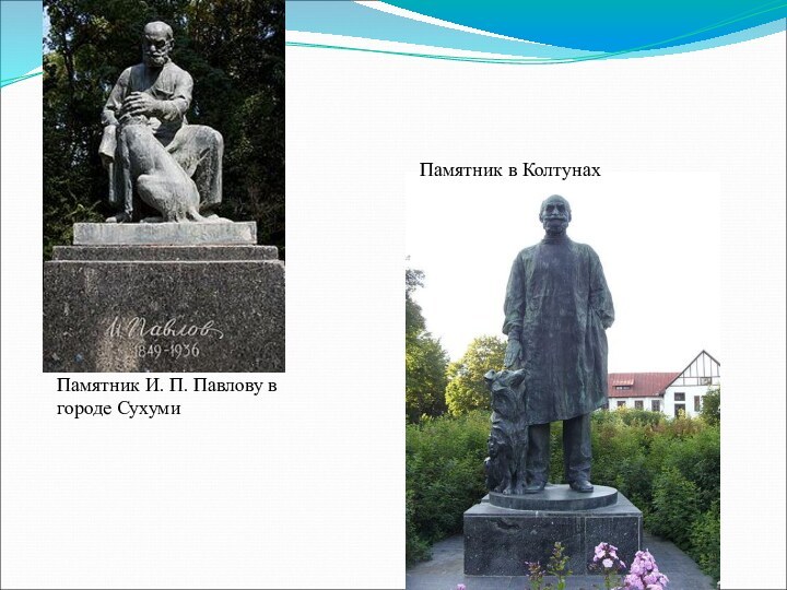 Памятник И. П. Павлову в городе СухумиПамятник в Колтунах