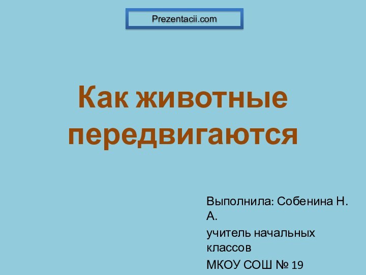 Как животные передвигаютсяВыполнила: Собенина Н.А.учитель начальных классов МКОУ СОШ № 19ГО Верхняя ТураPrezentacii.com