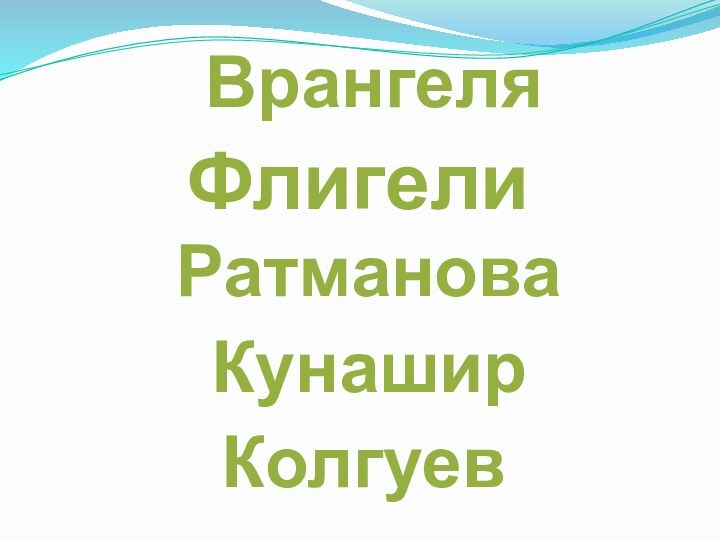 РатмановаВрангеляКунаширФлигелиКолгуев