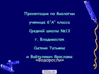 Одноклеточные и многоклеточные водоросли