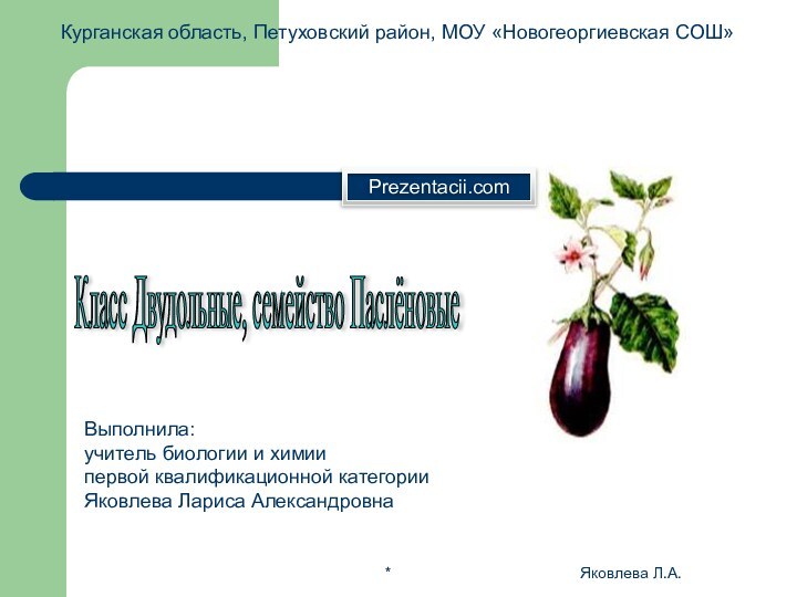 *Яковлева Л.А.Курганская область, Петуховский район, МОУ «Новогеоргиевская СОШ»Класс Двудольные, семейство Паслёновые Выполнила:учитель