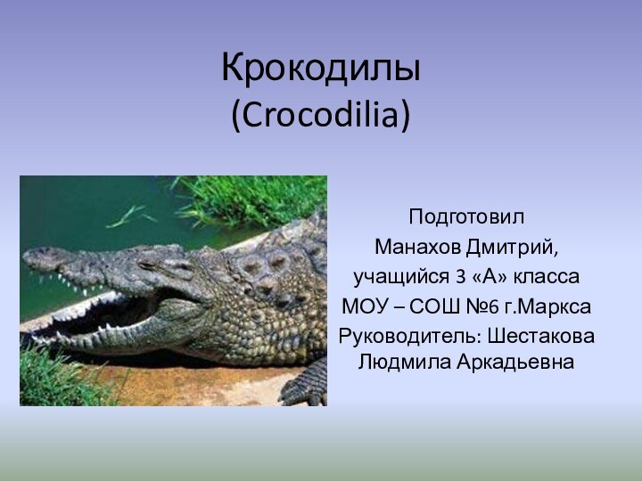 Крокодилы  (Crocodilia) Подготовил Манахов Дмитрий,учащийся 3 «А» класса МОУ – СОШ
