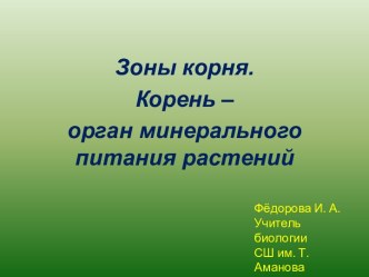 Зоны корня. Корень – орган минерального питания растений.