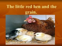 The little red hen and the grain