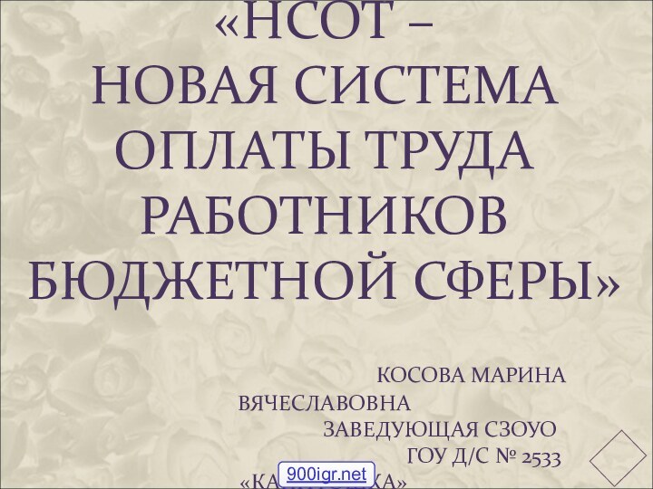 «НСОТ –  НОВАЯ СИСТЕМА ОПЛАТЫ ТРУДА РАБОТНИКОВ БЮДЖЕТНОЙ СФЕРЫ»