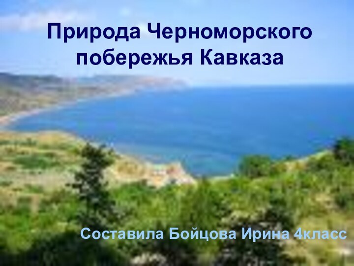 Природа Черноморского побережья КавказаСоставила Бойцова Ирина 4класс