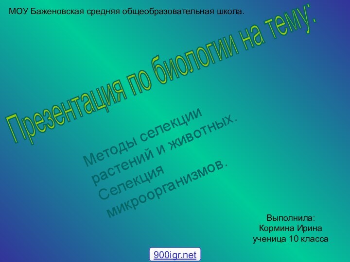 Презентация по биологии на тему: Методы селекции растений и животных. Селекция микроорганизмов.МОУ