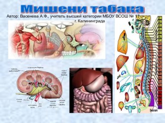 Мишени табака