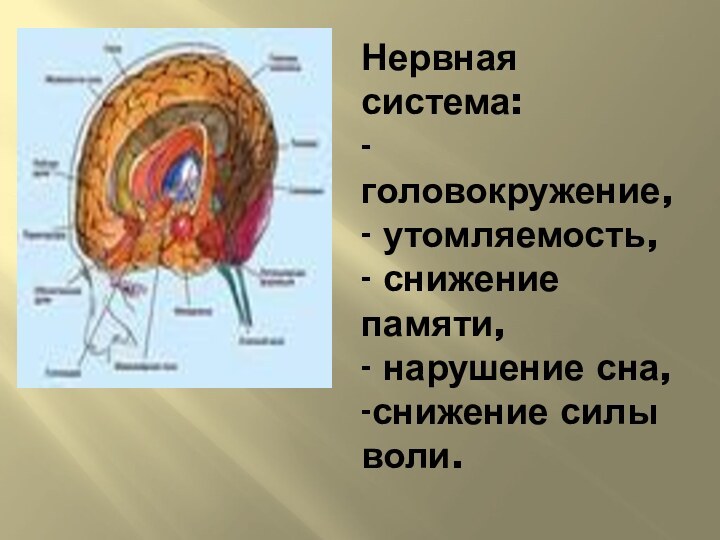 Нервная система: - головокружение, - утомляемость,  - снижение памяти, - нарушение сна, -снижение силы воли.