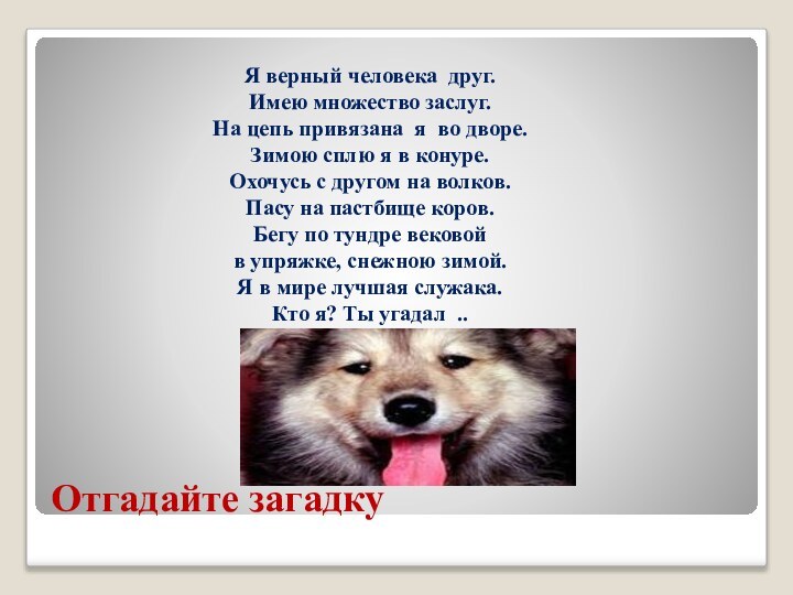 Отгадайте загадкуЯ верный человека  друг. Имею множество заслуг. На цепь привязана я