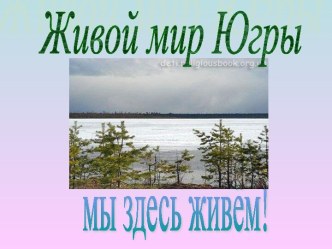 Живой мир Югры