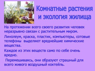 Комнатные растения и экология жилища