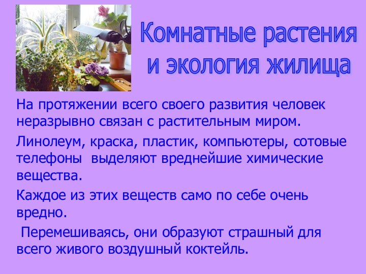 На протяжении всего своего развития человек неразрывно связан с растительным миром.Линолеум, краска,