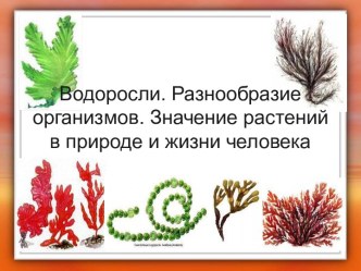 Водоросли. Разнообразие организмов. Значение растений в природе и жизни человека