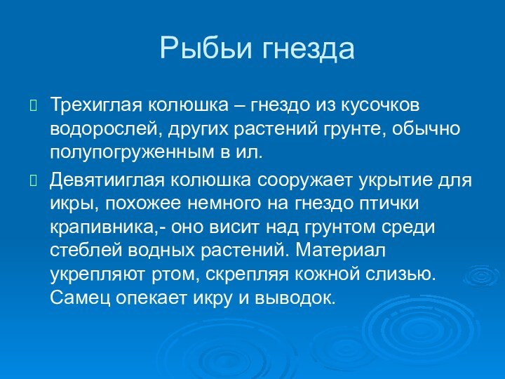 Рыбьи гнездаТрехиглая колюшка – гнездо из кусочков водорослей, других растений грунте, обычно