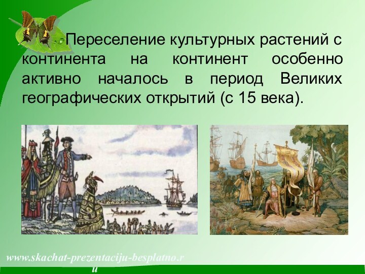 Переселение культурных растений с континента на континент особенно активно началось в период