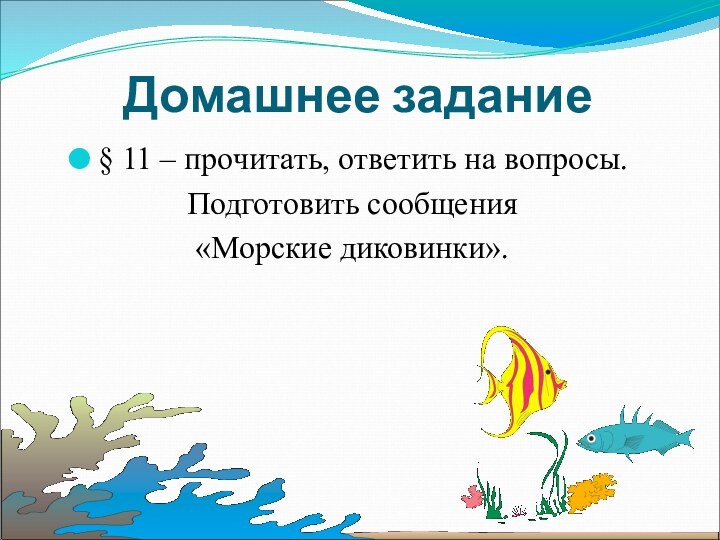 Домашнее задание§ 11 – прочитать, ответить на вопросы.Подготовить сообщения «Морские диковинки».