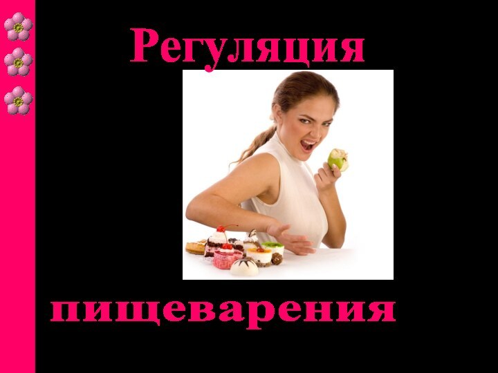 пищеваренияРегуляция