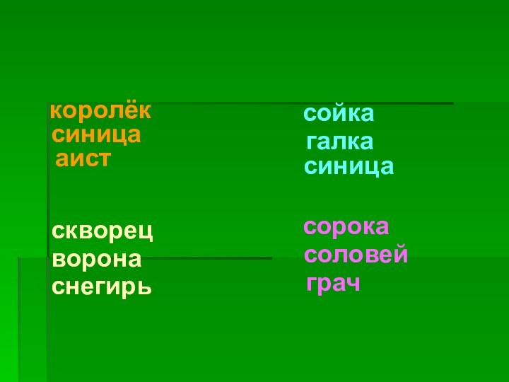 королёксиницааистсойкагалкасиницаскворецворонаснегирьсорокасоловейграч