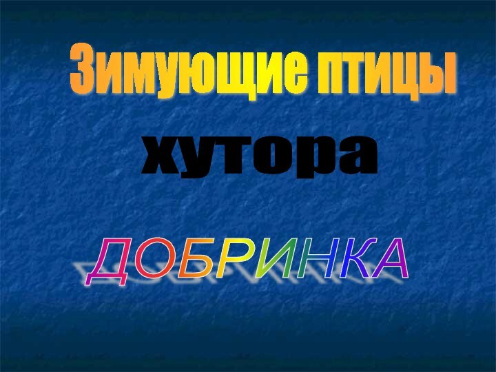 хутора Зимующие птицы ДОБРИНКА