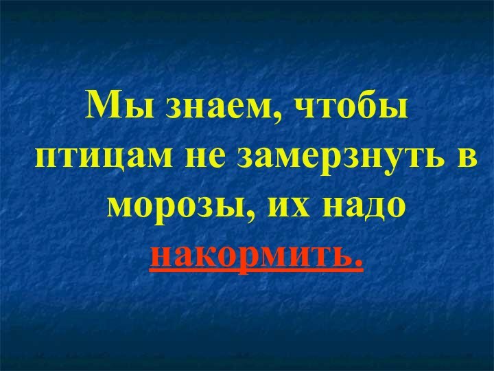 Мы знаем, чтобы птицам не замерзнуть в морозы, их надо накормить.