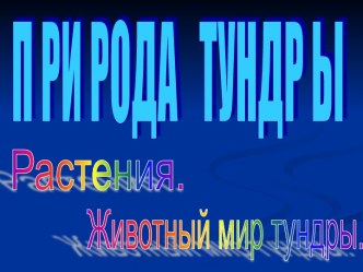 Природа Тундры