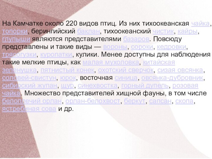 На Камчатке около 220 видов птиц. Из них тихоокеанская чайка, топорки, берингийский