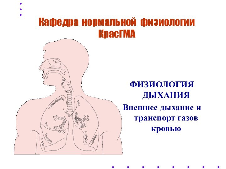 Кафедра нормальной физиологии КрасГМАФИЗИОЛОГИЯ ДЫХАНИЯВнешнее дыхание и транспорт газов кровью