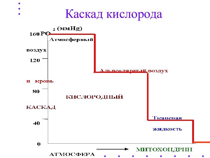 Каскад кислорода