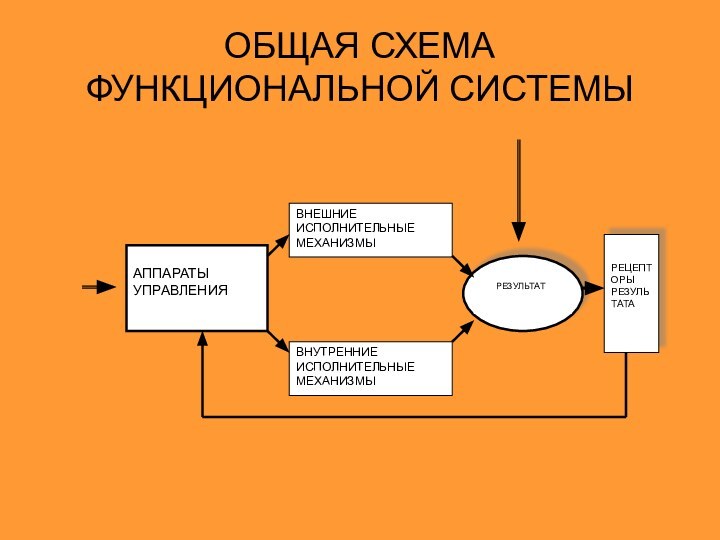 ОБЩАЯ СХЕМА ФУНКЦИОНАЛЬНОЙ СИСТЕМЫ