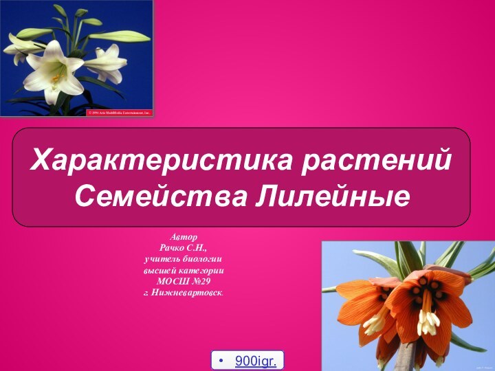 АвторРачко С.Н.,учитель биологии высшей категорииМОСШ №29г. Нижневартовск.Характеристика растений  Семейства Лилейные