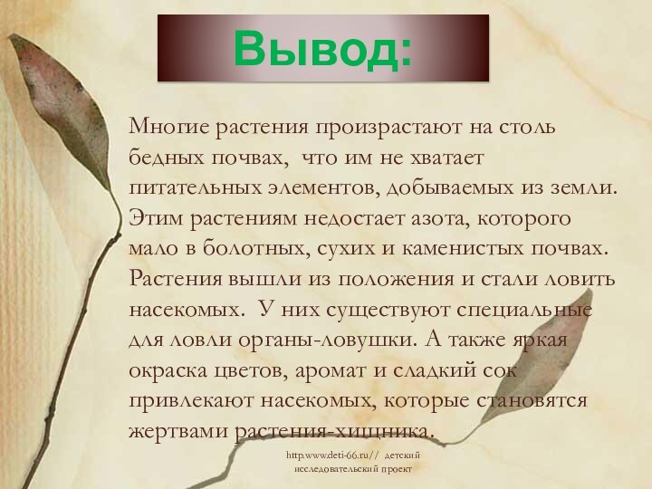 Многие растения произрастают на столь бедных почвах, что им не хватает питательных