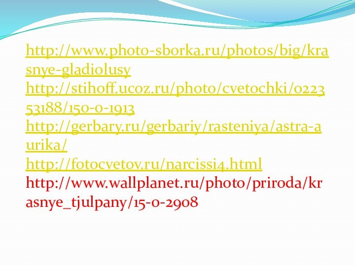 http://www.photo-sborka.ru/photos/big/krasnye-gladiolusyhttp://stihoff.ucoz.ru/photo/cvetochki/022353188/150-0-1913http://gerbary.ru/gerbariy/rasteniya/astra-aurika/http://fotocvetov.ru/narcissi4.htmlhttp://www.wallplanet.ru/photo/priroda/krasnye_tjulpany/15-0-2908