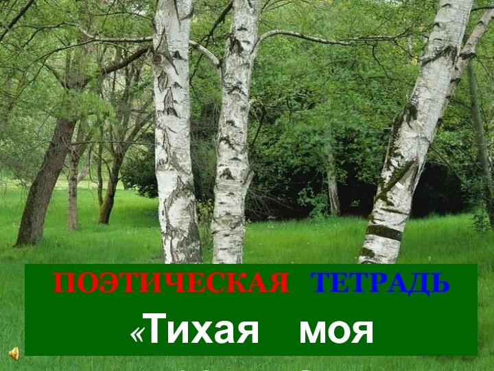 ПОЭТИЧЕСКАЯ  ТЕТРАДЬ«Тихая  моя  родина»