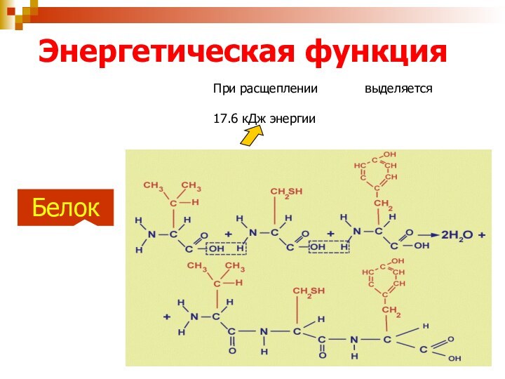 БелокЭнергетическая функция