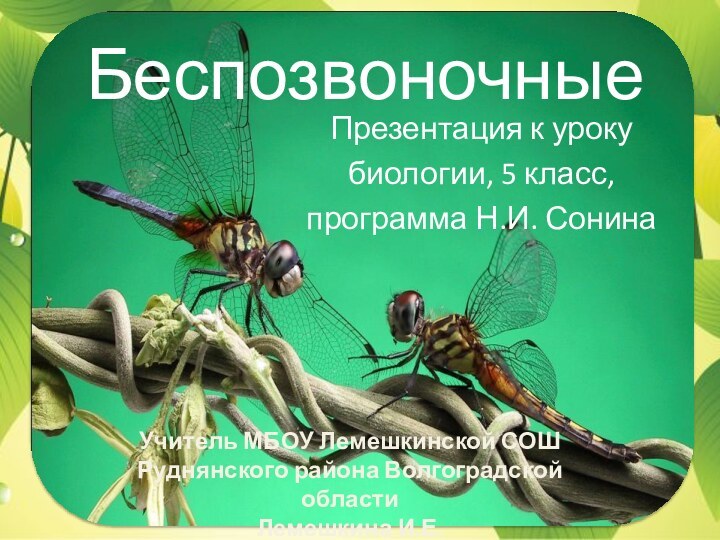 Беспозвоночные Презентация к урокубиологии, 5 класс,программа Н.И. СонинаУчитель МБОУ Лемешкинской СОШРуднянского района Волгоградской областиЛемешкина И.Е.