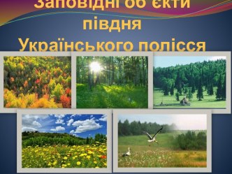 заповідні обєкти півдня українського полісся