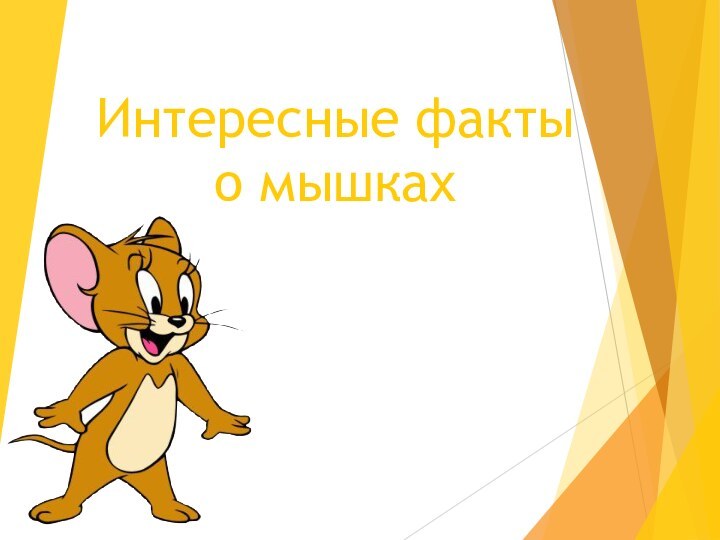 Интересные факты о мышках