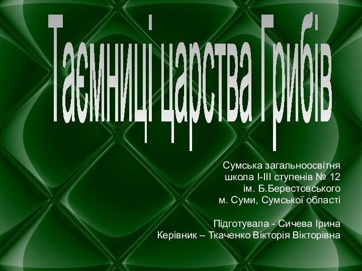 Сумська загальноосвітня школа І-ІІІ ступенів № 12 ім. Б.Берестовськогом. Суми, Сумської області