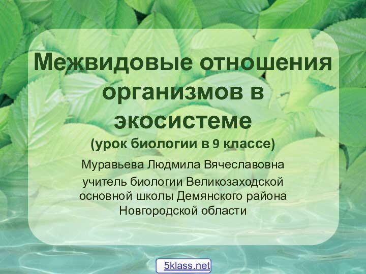 Межвидовые отношения организмов в экосистеме (урок биологии в 9 классе)Муравьева Людмила Вячеславовна