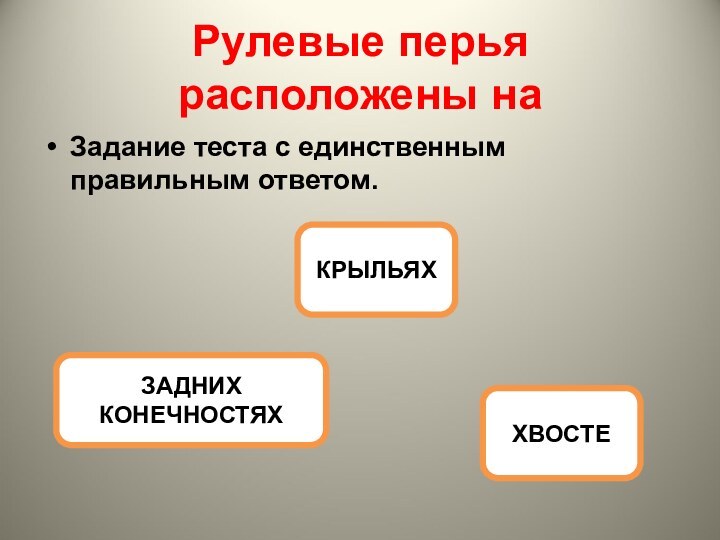 Единственно правильный ответ. Картинки для презентации на тему тестовых заданий открытой формы.